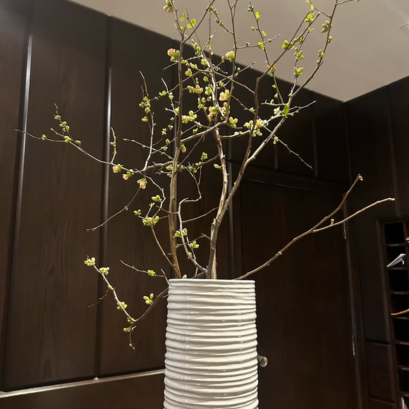 Meet your Posher, Kim - Picture 2 of 2